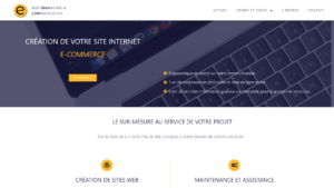 Développeur web